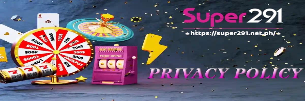 privacy policy super291 banner